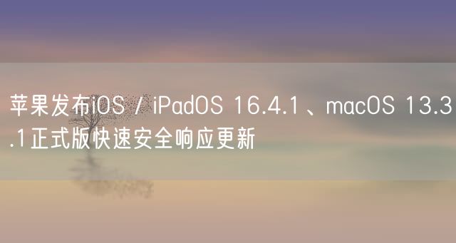 苹果发布iOS / iPadOS 16.4.1、macOS 13.3.1正式版快速安全响应更新