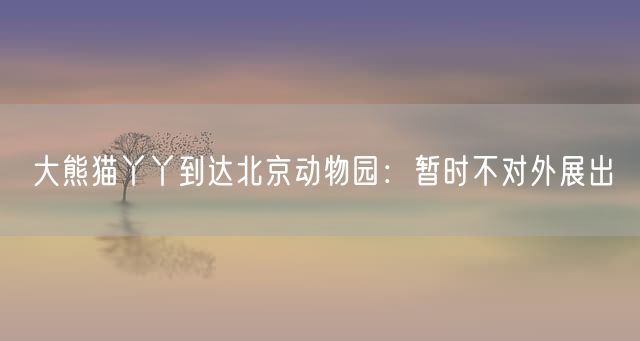 大熊猫丫丫到达北京动物园：暂时不对外展出