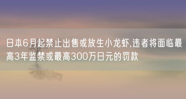 日本6月起禁止出售或放生小龙虾,违者将面临最高3年监禁或最高300万日元的罚款