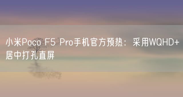 小米Poco F5 Pro手机官方预热：采用WQHD+居中打孔直屏