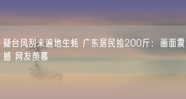 疑台风刮来遍地生蚝 广东居民捡200斤：画面震撼 网友羡慕