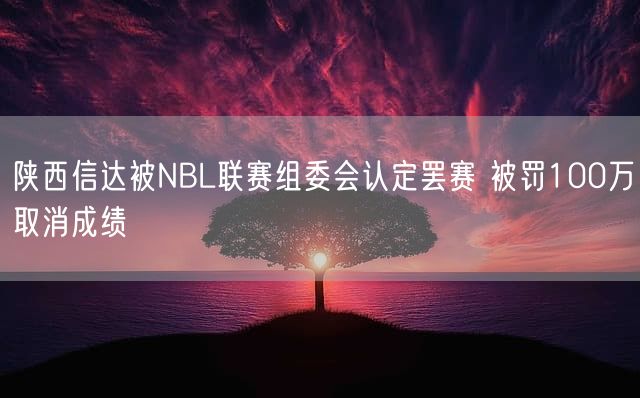 陕西信达被NBL联赛组委会认定罢赛 被罚100万取消成绩